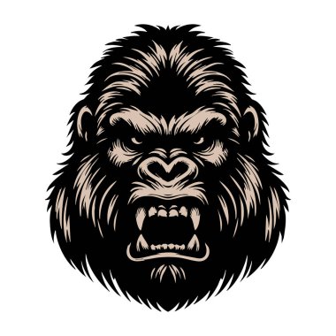 Beyaz Arkaplan Üzerine Vahşi Goril Baş İllüstrasyonu
