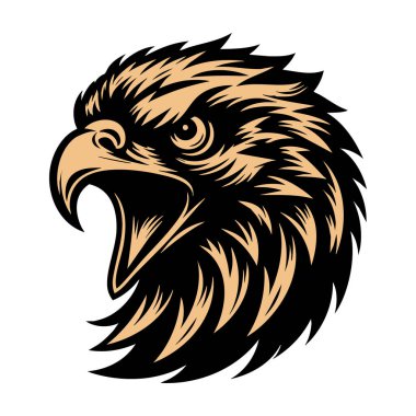 Beyaz Arkaplan Üzerine Vahşi Şahin Kafa Resimleri