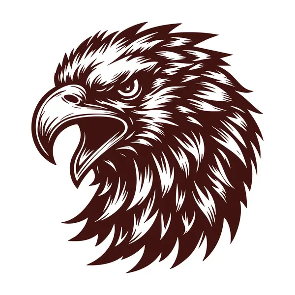 Kızgın Gözleriyle Yoğun Kel Kartal Kafası