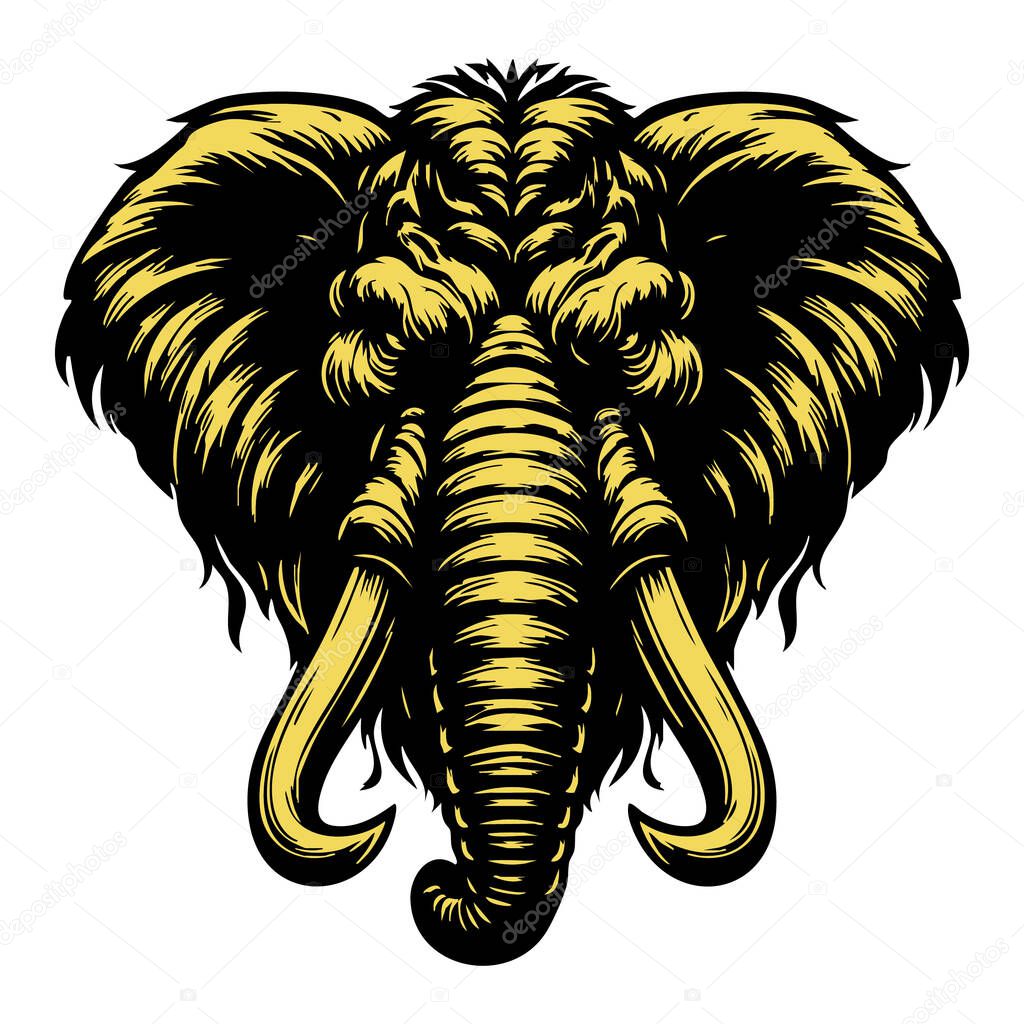 Wild Elephant Head Vector in Black and White