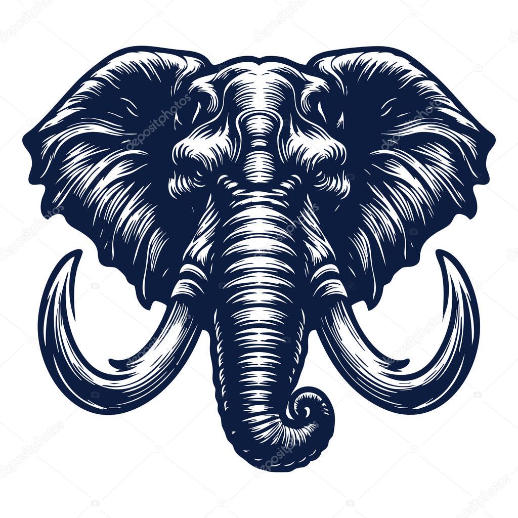 Angry Elephant Face with Intense Expression