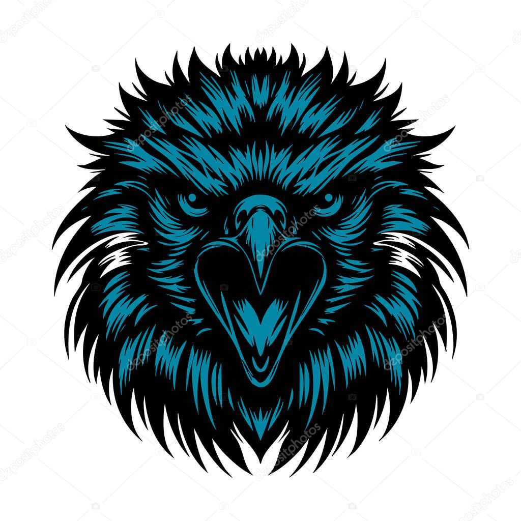 Wild Falcon Head Vector Art
