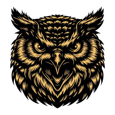 Kızgın Gözlü Baykuş Yüzlü Görüntü