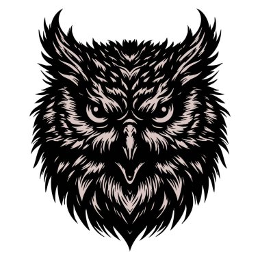 Ayrıntılı Kızgın Baykuş Yüzlü Çizim