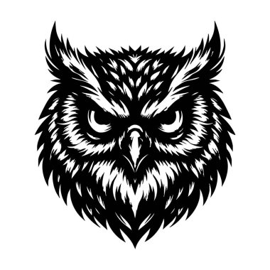 Keskin Bakış ve Öfkeyle Baykuş Kafa