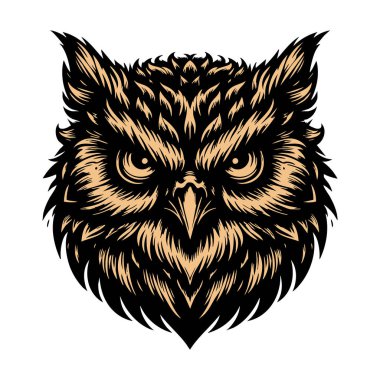 Kızgın Gözlü Baykuş Yüzlü Görüntü