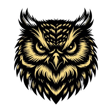 Yoğun ve öfkeli bakışlı Baykuş Kafa