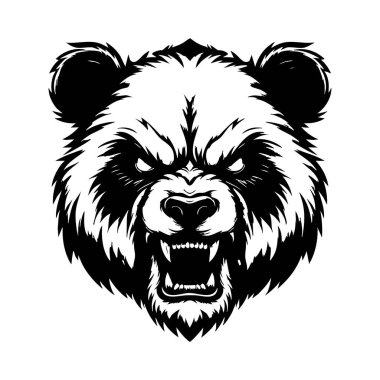 Kızgın Panda Baş Fotoğrafı: Beyaz Arkaplan