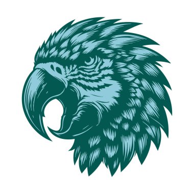 Agresif Papağan İfadesi Çizimi