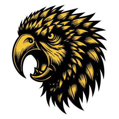 Kızgın Papağan Beyaz Arkaplanda Baş Görüntü