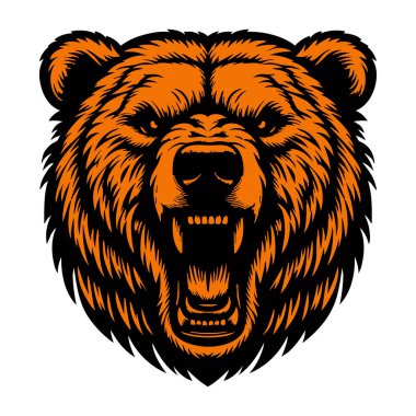 Vahşi Kutup Ayısı Yüz Vektör Çizimi