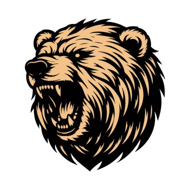 Kızgın Kutup Ayısı Başı Resimleri Beyaz Arkaplanda