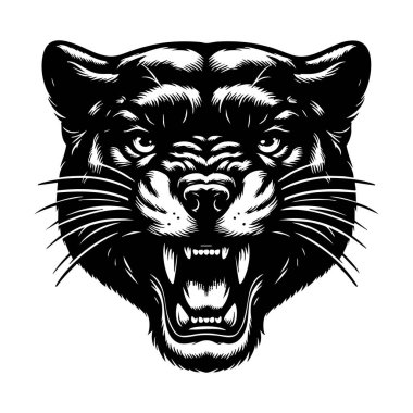 Puma Baş Maskot Sanatı