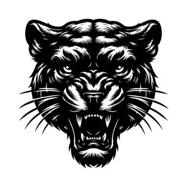 Yoğun Puma Portre Vektörü