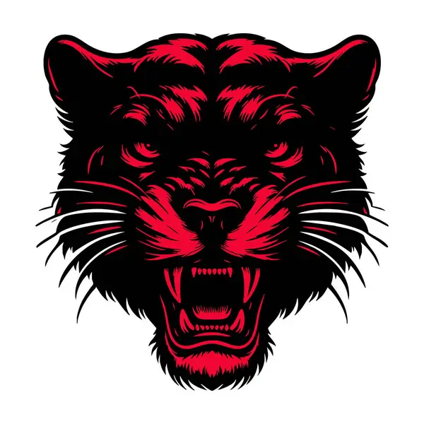 Kızgın Puma Baş Fotoğrafı Beyaz Arkaplanda