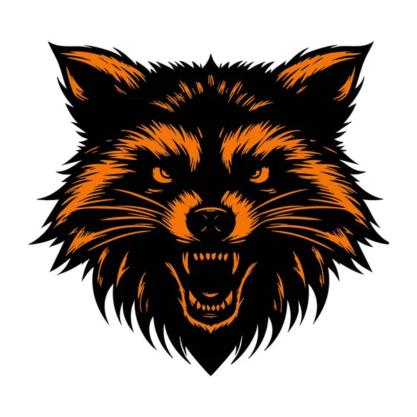 Vahşi Vahşi Rakun Surat İzole Edilmiş İllüzyon