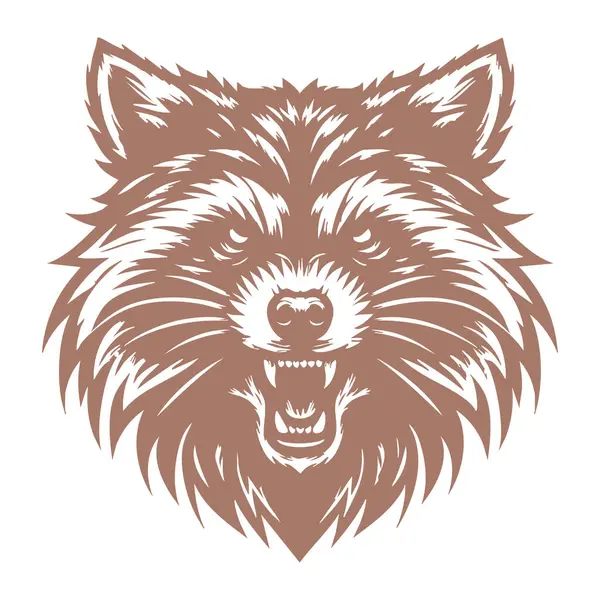 Kızgın Rakun Başı Resimleri Beyaz Arkaplanda