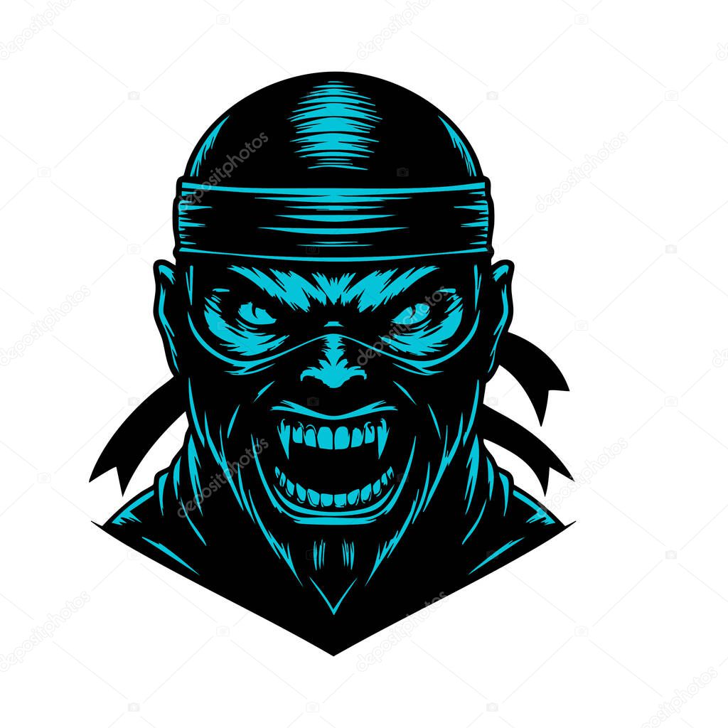 Furious Ninja Character Design