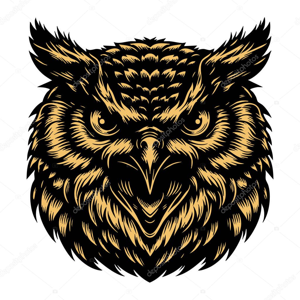 Owl Face Illustration with Angry Eyes