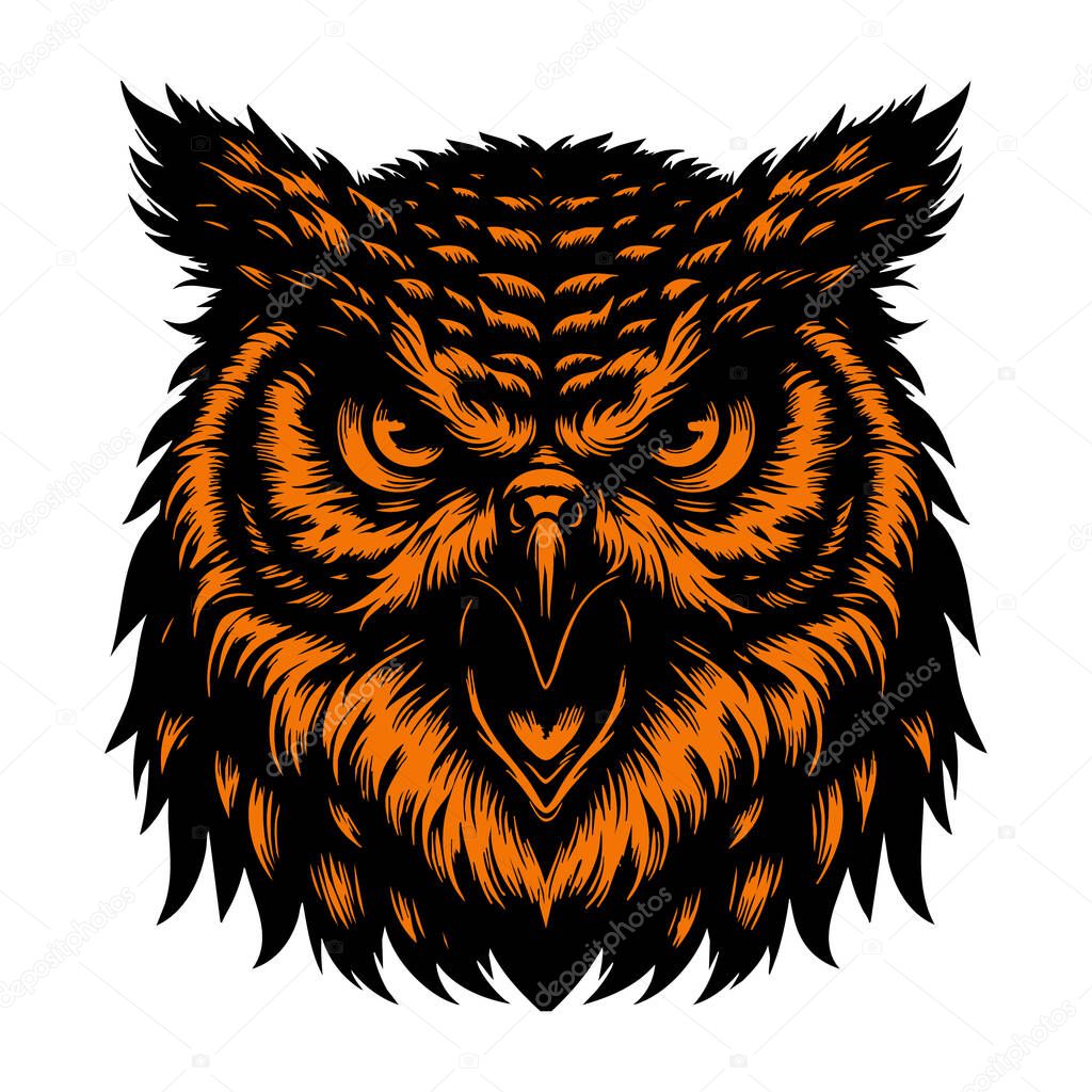 Aggressive Owl Character in Black and White