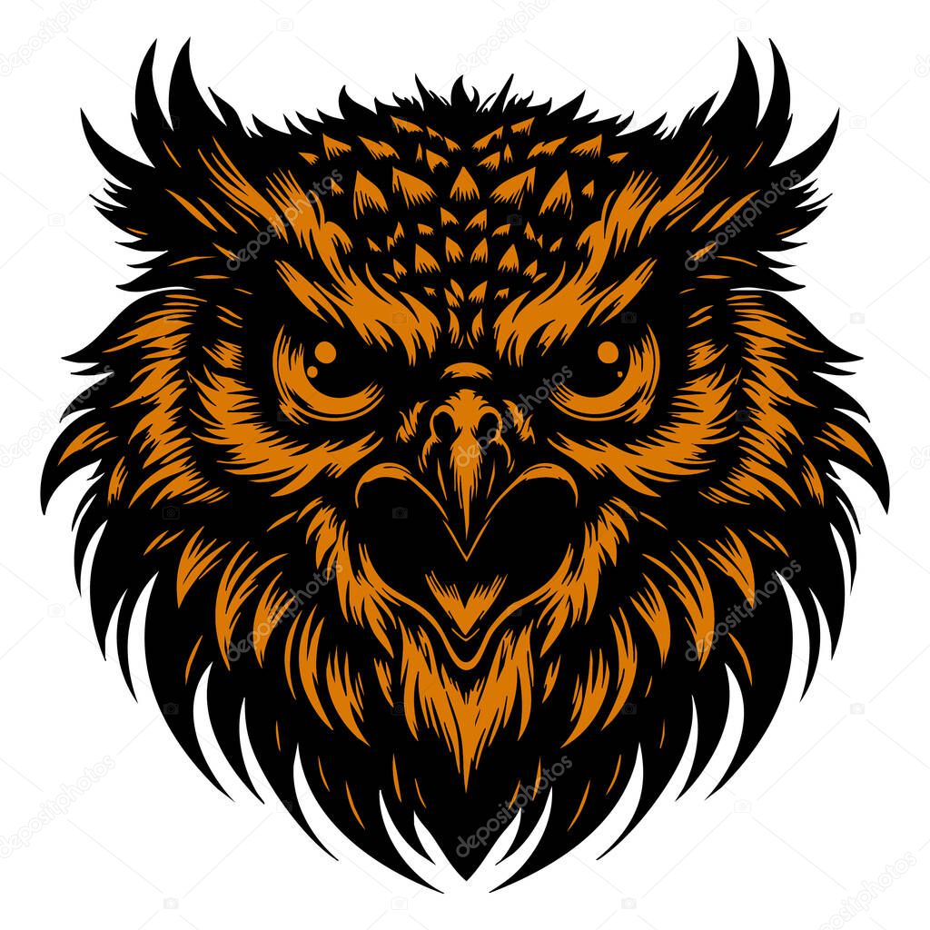 Angry Owl Head Illustration on White Background