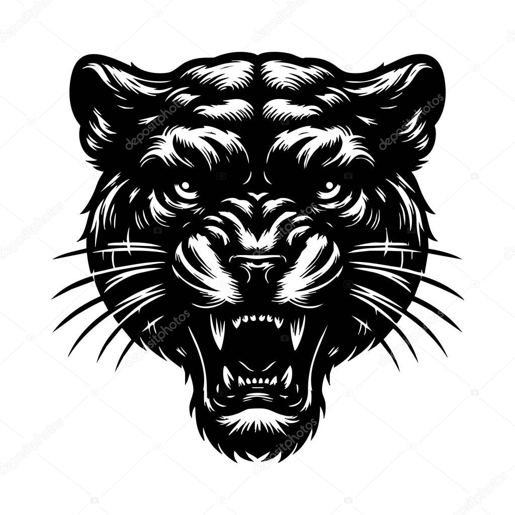 Intense Puma Portrait Vector