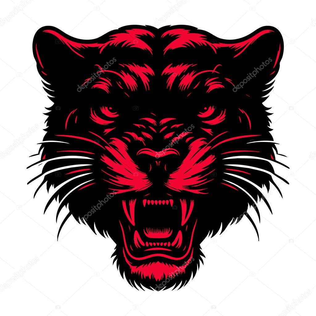 Angry Puma Head Illustration on White Background