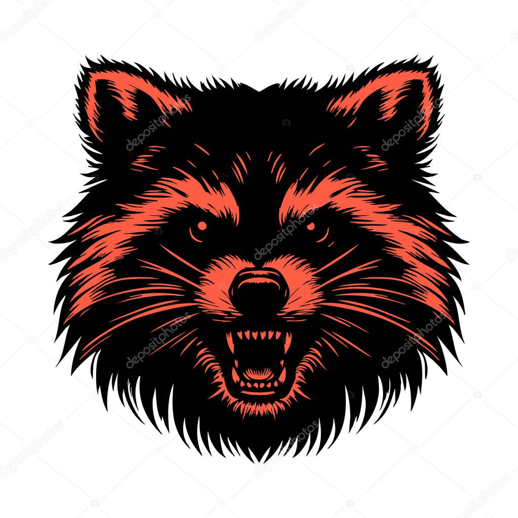 Intense Raccoon Portrait Vector