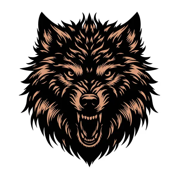 Öfkeli Kurt Başı Fotoğrafı Beyaz Arkaplanda