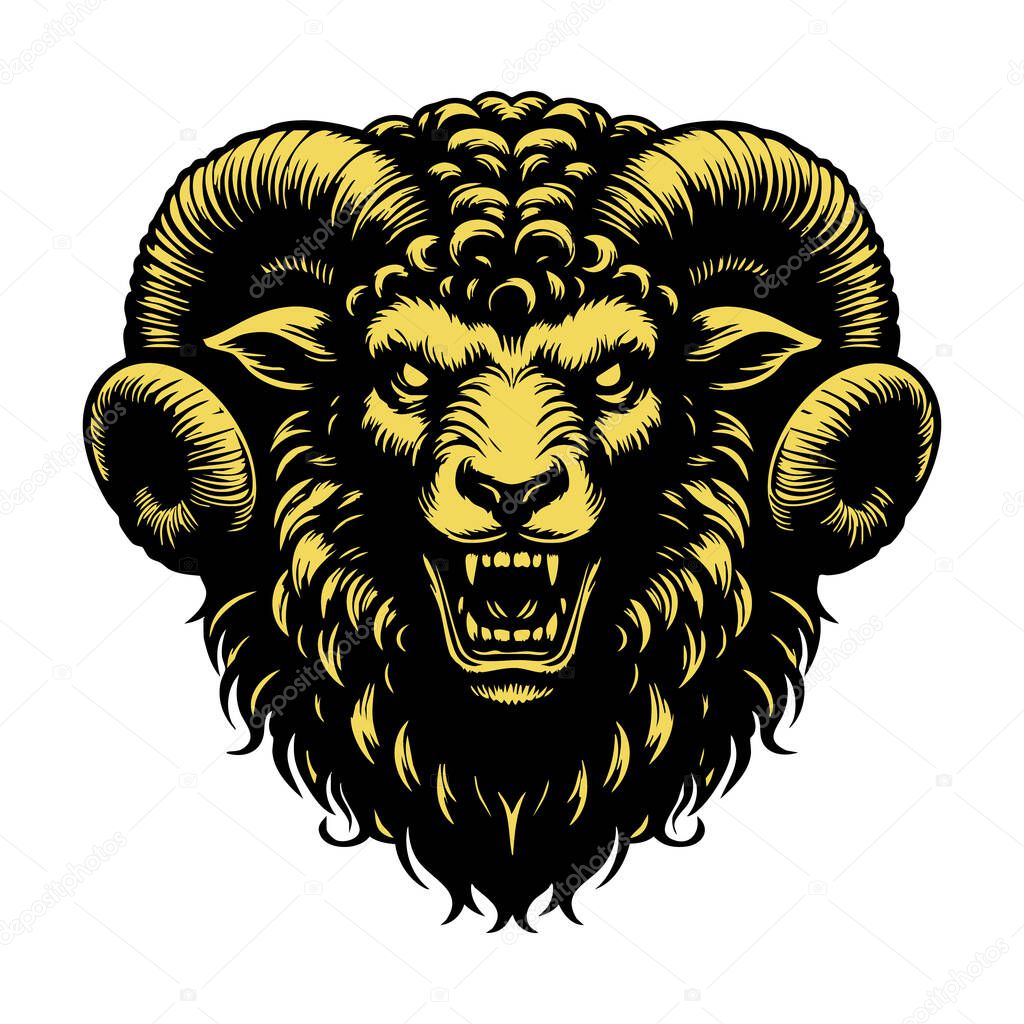 Intense Sheep Portrait Vector