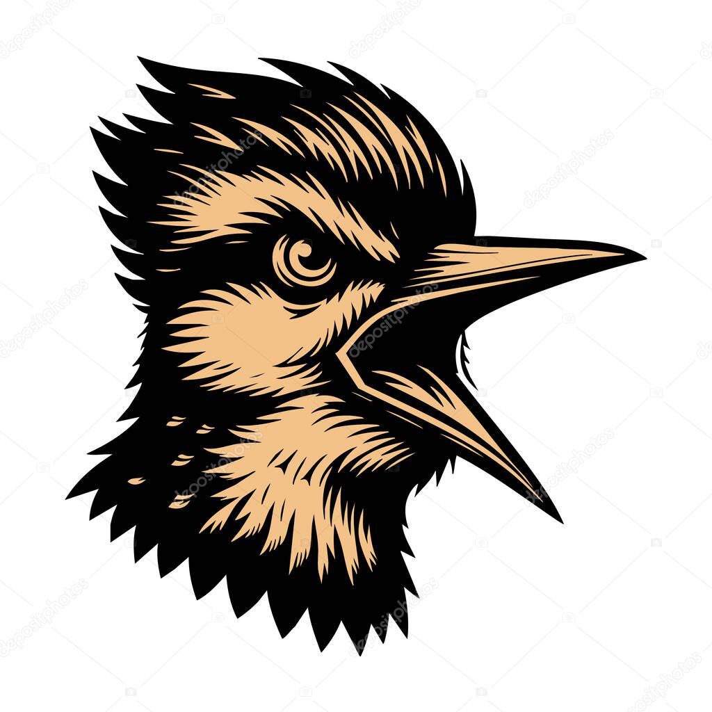 Ferocious Woodpecker Face Vector Drawing