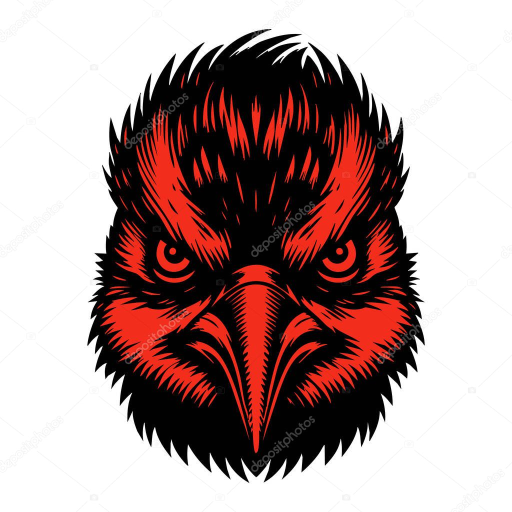 Angry Woodpecker Head Illustration on White Background