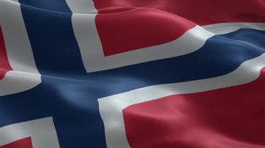 Norveç Ulusal Bayrağı Rüzgarda Kusursuzca Dalgalanıyor Norveç 'in Kırmızı, Beyaz ve Mavi Haçlı 3D Gerçekçi Animasyonu Vatanseverlik, Kültür ve Hükümet İçin Karanlık Arkaplanda