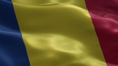 Romanya Ulusal Bayrağı Rüzgarda Kusursuzca Dalgalanıyor Romanya 'nın Üç Boyutlu Gerçekçi Animasyon Döngüsü Vatanseverlik ve Kültürel Projeler İçin Karanlık Arkaplanda