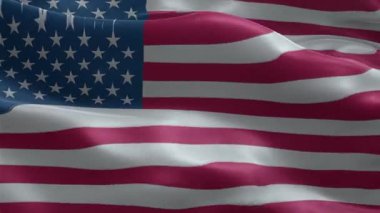 Amerika Birleşik Devletleri Bayrağı