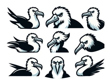 Çizgi film Albatros Çizimleri Beyaz Üzerine Şirin Kuş Vektörü