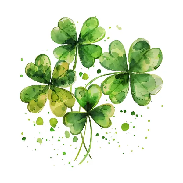 suluboya yonca yaprakları beyaz arkaplanda