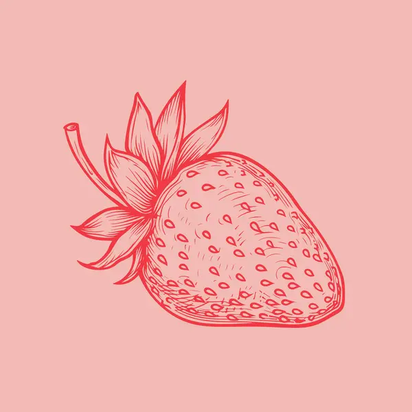 Çilekli meyve eskizi. vektör illüstrasyonu