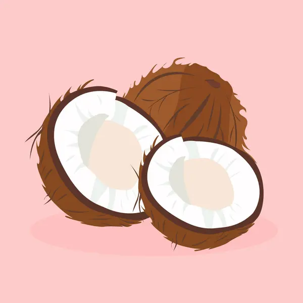 Hindistan cevizi vektör simgesi. beyaz arkaplanda izole edilmiş çizgi film vektör simgesi.