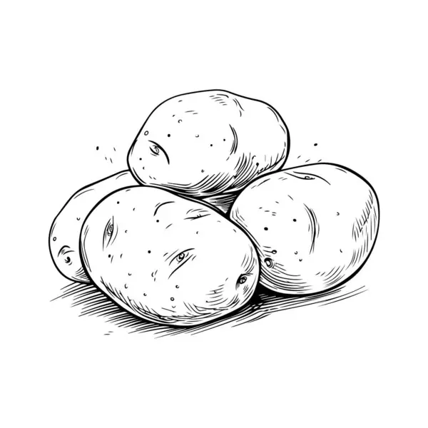 El yapımı patates. Beyaz arkaplanda izole edilmiş vektör çizimi