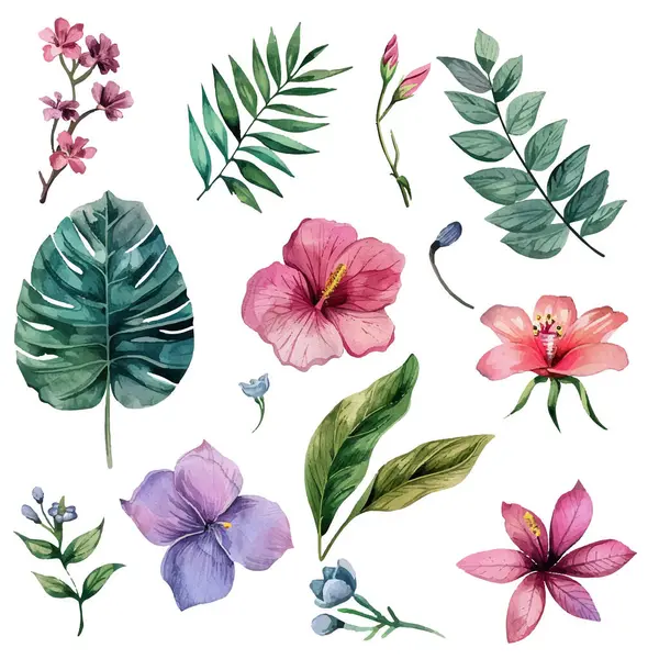 suluboya çiçek seti, suluboya el resmi, beyaz arka planda izole edilmiş. yüksek kaliteli resimleme