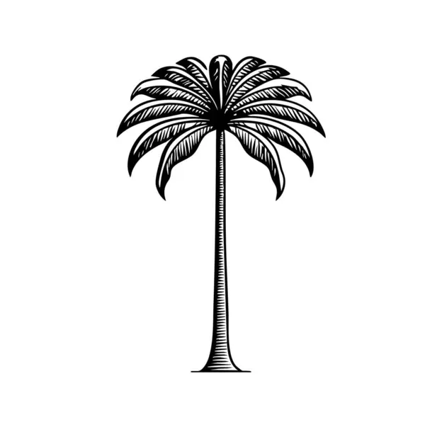 Hindistan cevizi ağacı vektör logosu dizayn şablonu