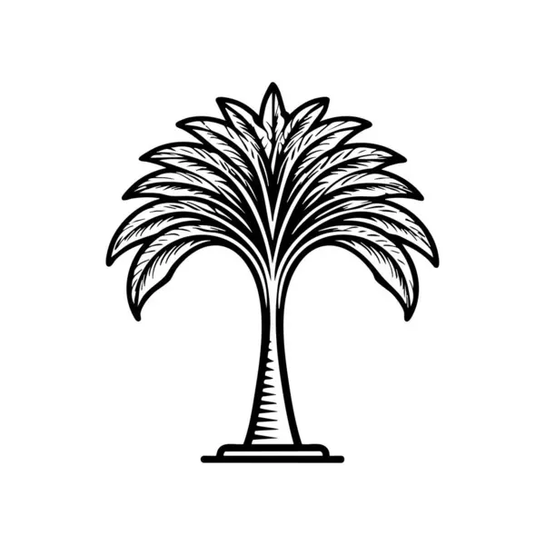 Palmiye ağaçları tropik ağaç vektör çizimi tasarımı