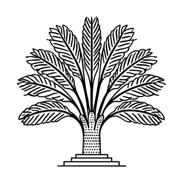 Palmiye ağacı ikonu vektör illüstrasyonu