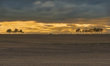 Pikne pole Polski w wietle one ecznym soca