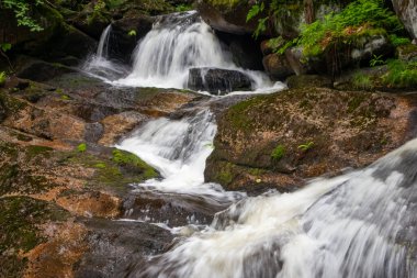 Çek Cumhuriyeti 'ndeki ormandaki güzel dağ şelalesi