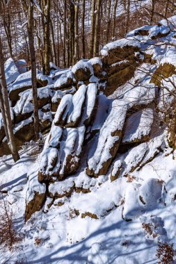 Ormanda karla kaplı bir kayanın dikey görüntüsü.
