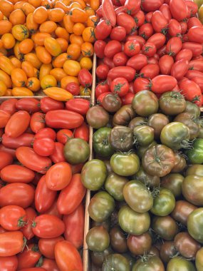 taze ve renkli domatesler