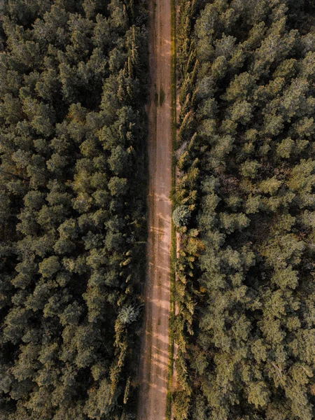 Путь Лесу — стоковое фото