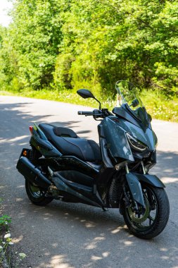 Gri Yamaha Max Ormanda 250 motosiklet